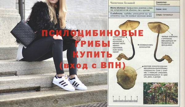 mdma Ельня