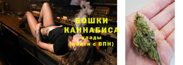 mdma Ельня