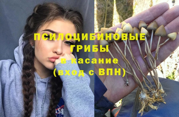 спайс Елизово
